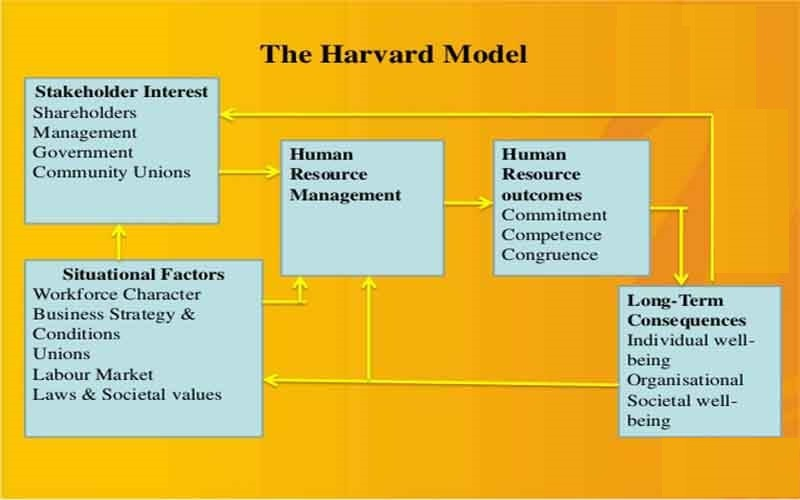 Phương pháp quản trị nguồn nhân lực trong doanh nghiệp hiệu quả nhất tại Mỹ - mô hình Harvard