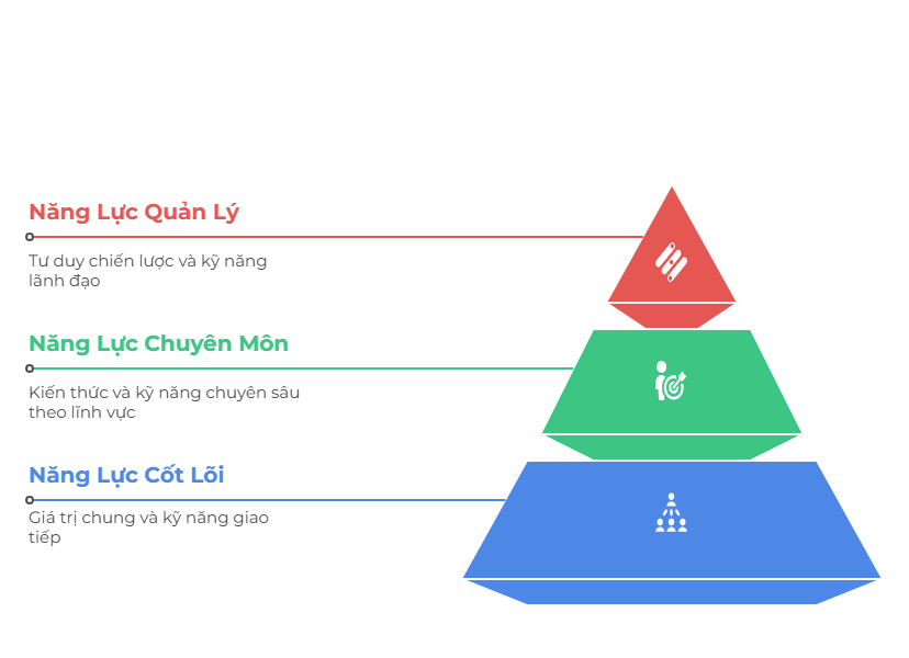 3 nhóm chính của khung năng lực